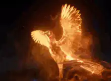 Phoenix rising from ashes