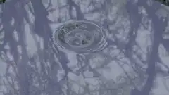 Ripples in a puddle