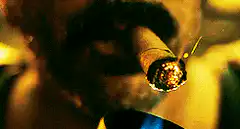 Close up of a lit cigar