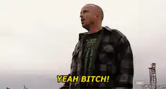 Walter White Yeah Bitch