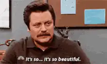 Ron Swanson It's So Beautiful