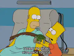Bart wants to bring turtle back to life