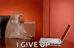 Monkey gives up at laptop