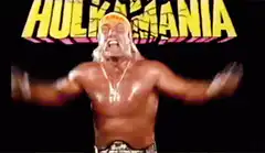 Hulk Hogan Hulkamania pose