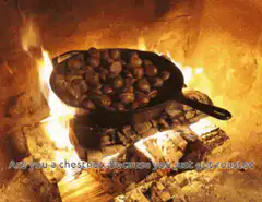 Chestnuts roasting on an open fire