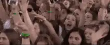 excited crowd cheering at concert
