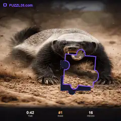 Honey Badger Puzzle Game