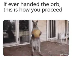 kangaroo drops orb