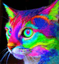 psychedelic rainbow cat face