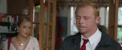 Simon Pegg facepalm