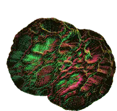 Colorful 3D brain rotating