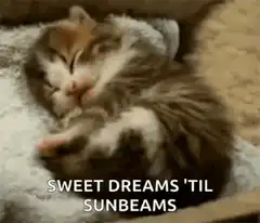 Sleepy kitten yawning