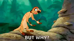 Timon But Why GIF