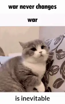 war never changes war is inevitable cat