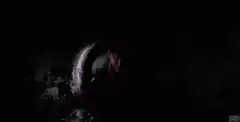 Pig in a dark tunnel with flashlight