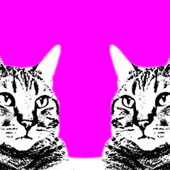 Two cats with flashing background