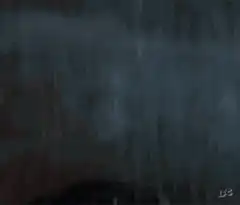 Rambo intense stare in the rain