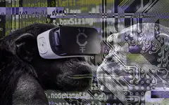 Chimp with VR headset and circuit board