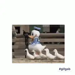 Donald Duck mascot leading ducklings