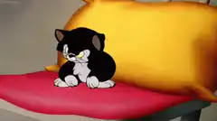 Tom the Cat scratching himself