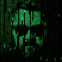 Matrix code face