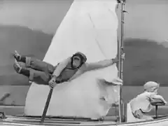monkey sailing boat