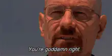 You're goddamn right Walter White