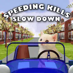 Speeding Kills Slow Down Cat