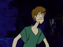 Shaggy and Scooby-Doo scared by a ghost
