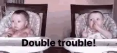 Double trouble babies
