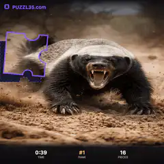 Hissing Honey Badger Puzzle