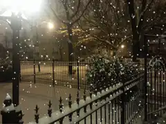snow falling on park fence at night