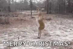 Dancing deer merry christmas
