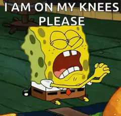 SpongeBob on his knees please