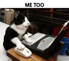 Cat typing on laptop with mouse
