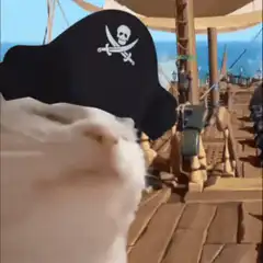 Cat wearing pirate hat on ship deck