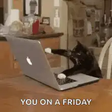Cat typing on laptop