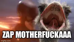 Ostrich screaming Zap Motherfuckaaa