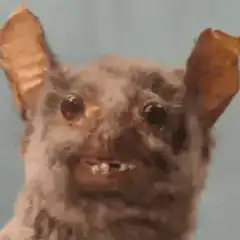 creepy taxidermy bat