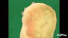 Woman with giant yellow hair