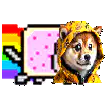 Nyan Cat with Shiba Inu