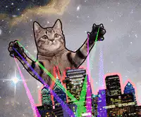 Giant Cat Laser City