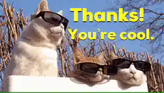 Three cats in sunglasses thanks you