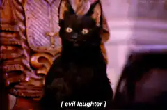 Black cat evil laughter