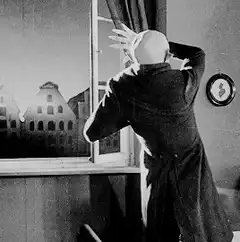 Bald man opens window with cat