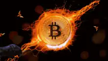 Bitcoin bull market fire