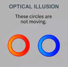Optical illusion circles not moving