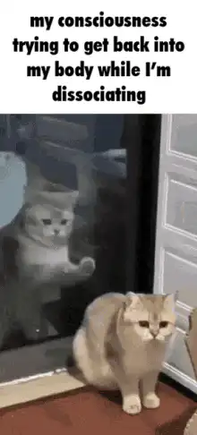 cat trying to get back into body