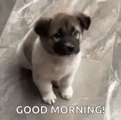 Cute puppy saying good morning