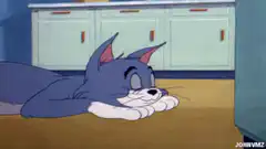 Tom the Cat Waking Up